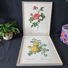 Pair Botanical Prints PJ