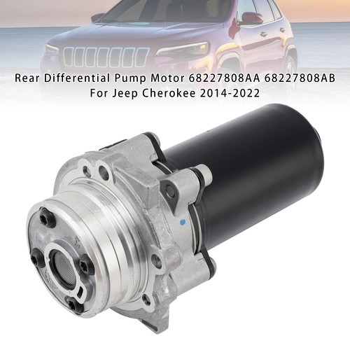 Rear differential pump motor - differential,