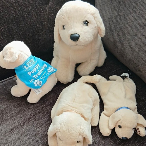 Vintage andrex guide dogs - andrex,