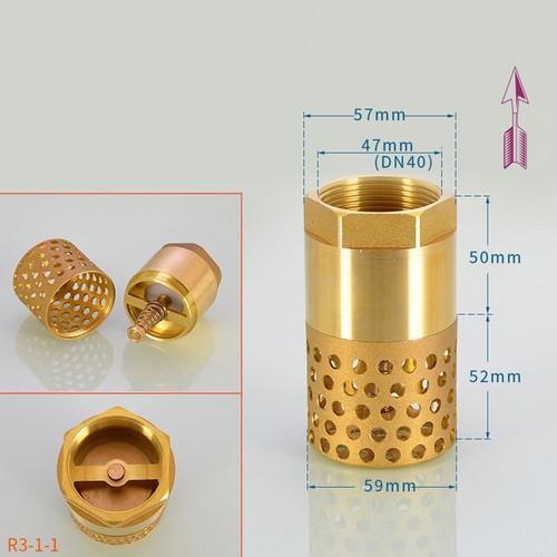 Brass spring check - spring, valve