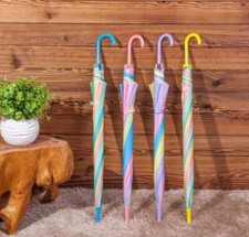 Ladies clear dome umbrella