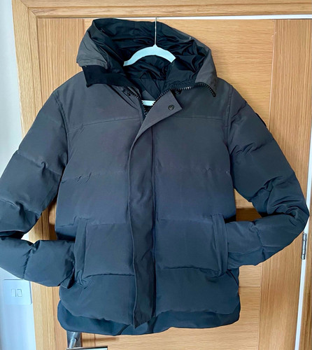 Canada goose arctic program - canada,