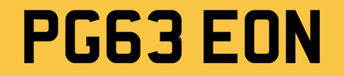 Pigeon new 2013 reg number - 2013,
