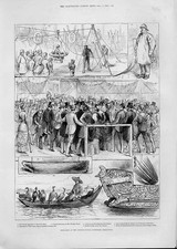 Old Antique Print Mussel