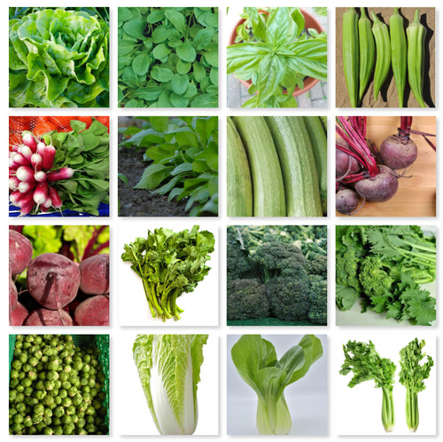 Vegetable seed pack - vegetable,
