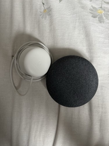 Google home mini 1st - home,