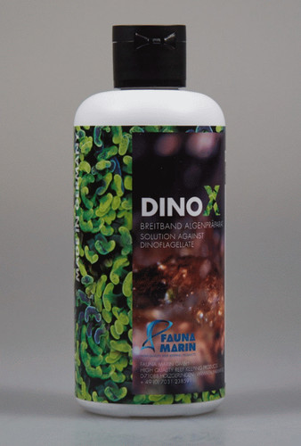 Fauna marin dino - marin,
