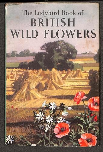 British wild flowers ladybird - british,