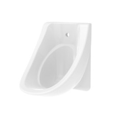 Urinal Exposed Bowl 365 with