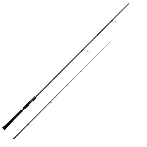 Tenryu spinning rod - rod, rock