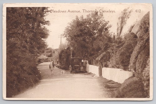 Meadows avenue thornton - avenue,