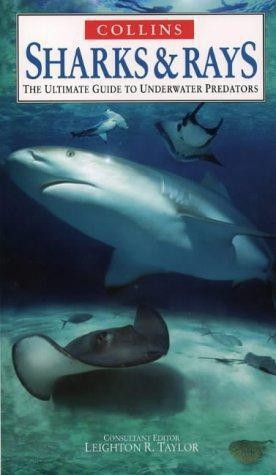 Ultimate guides sharks and - sharks,