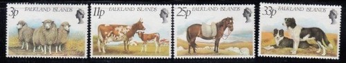 Falkland islands polwarth - falkland,