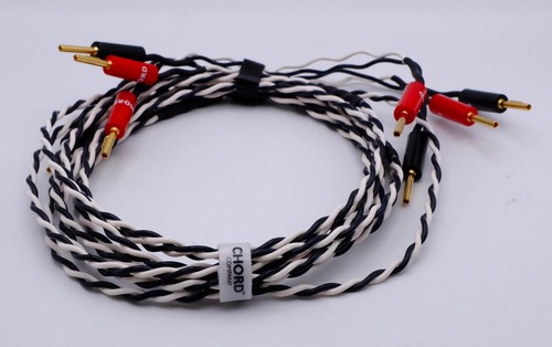 Stereo pair of totem - a,