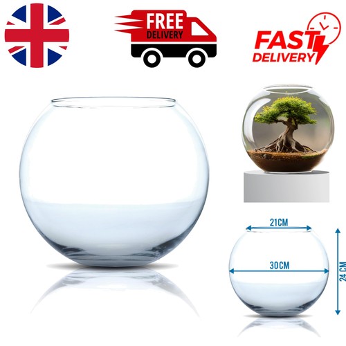 Transparent glass - transparent,