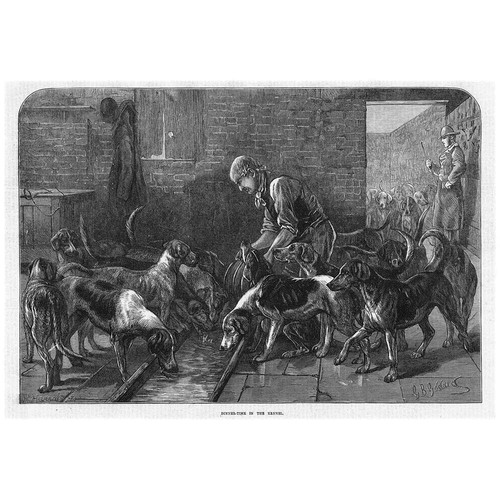 Victorian fox hunting hounds - fox,
