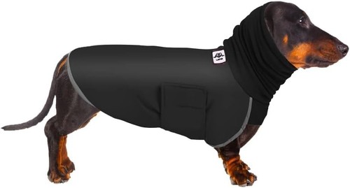 Dachshund winter coat - dachshund,