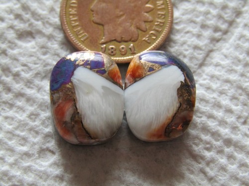 Spiny oyster shell purple - 2,