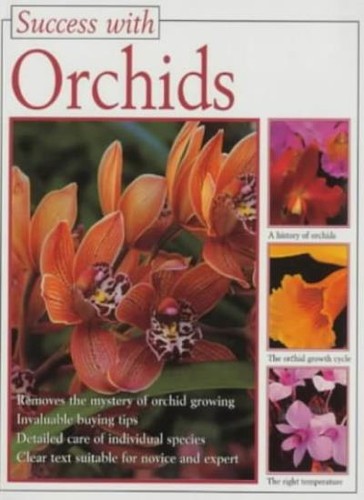 Orchids lesley - orchids, (success