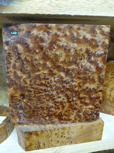 Thuya burr 8 x 2 - x,