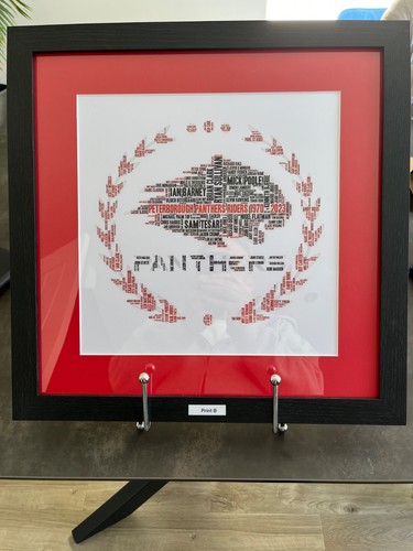 Peterborough panthers speedway - peterborough,