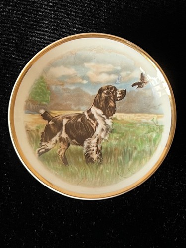 Vintage wedgwood longton - vintage,
