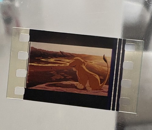 Lion king 35mm - , cell