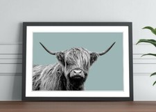 HIGHLAND COW BLACK AND WHITE DUCK EGG BLUE FRAMED POSTER WALL ART PRINT