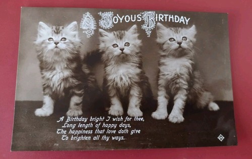 Vintage cat postcard cute - cat, postcard,