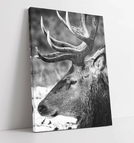 Stag large canvas - large, wall