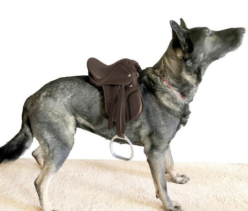 Brown english style - style, saddle