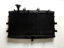 Aluminum Radiator For Triumph