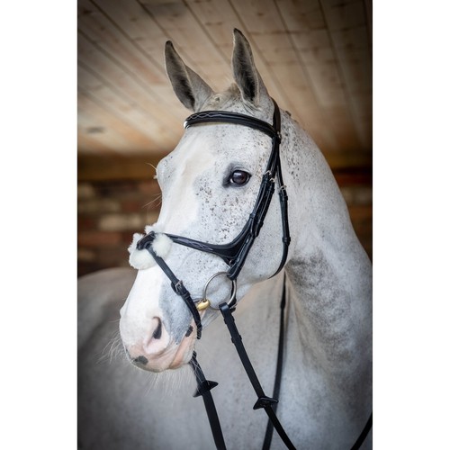Lemieux grackle bridle black - grackle,