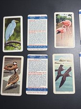 Brooke Bond USA Tropical Birds Full Set (cat Val £240)
