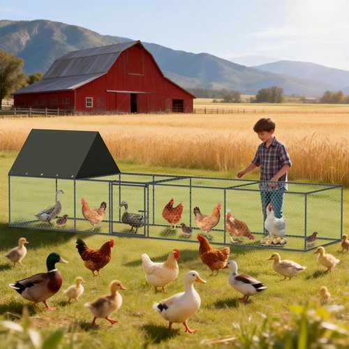 Large chicken coop poultry - coop,