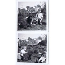 Children with Pet Dog - 2x Vintage Photographs c1960's