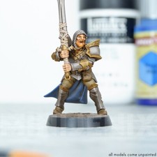FIGHTERS GUILD KNIGHT PALADIN || D&D Artisan Guild Printed Miniature 28mm 32mm