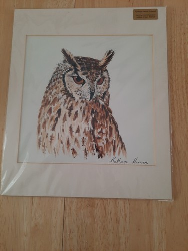 Tawny owl print artist - tawny,