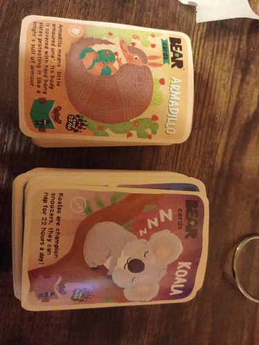 Bear cards massive bundle - bear,
