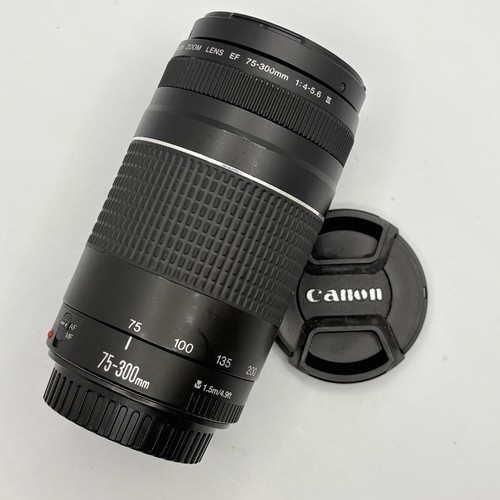 Canon 300mm 5 - ef, f/4-5.6