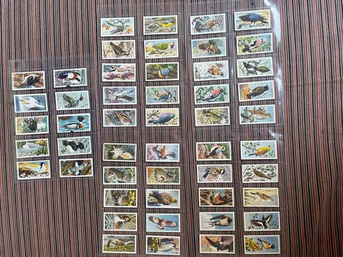 1957 bird portraits trade - 1957,