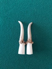 Muntjac Buck Deer Antlers x 2 Taxidermy Gothic