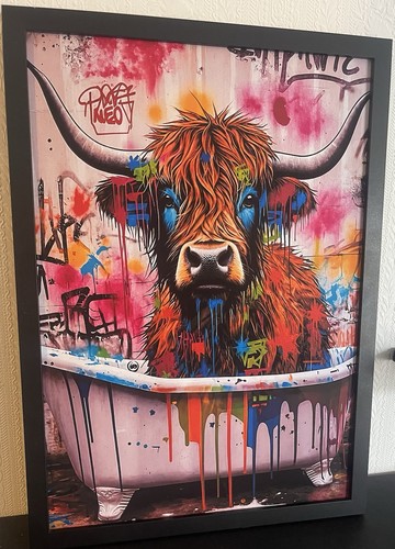 Colourful highland cow - highland, in