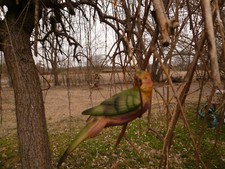 BEAUTIFUL VINTAGE BISQUE