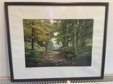 Mark Spain Signed Print Framed