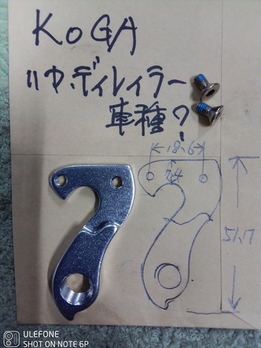 Koga rear derailleur hanger