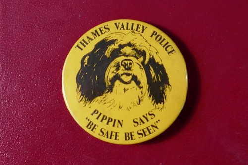 Tin pin badge from - pin,
