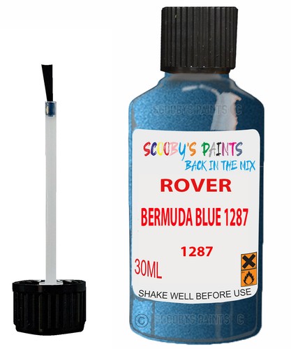 Paint touch for rover mgf - paint, up