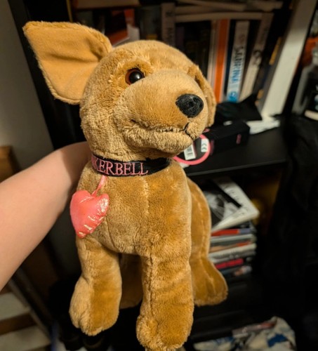 Paris hilton tinkerbell dog - paris,