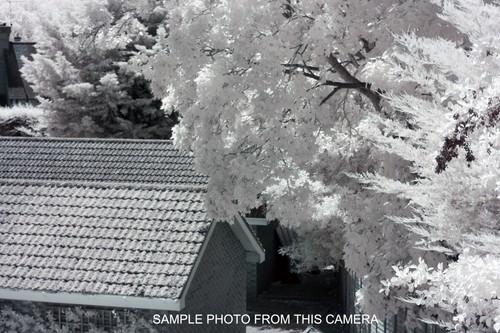 Infrared modified 720nm - infrared,